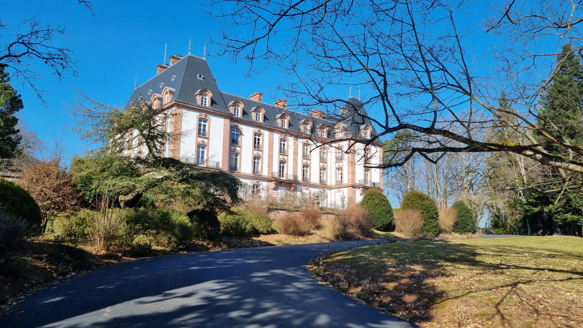 Dans ch\u00e2teau de 1896 : Appartement Bourgeois SAINT-DIE - 8 pi\u00e8ce(s) - 357 m2