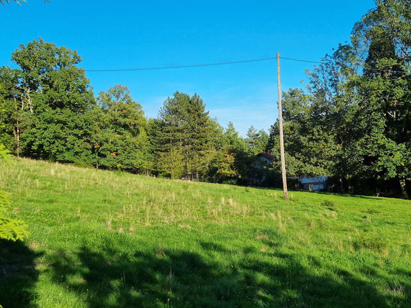 Terrain \u00e0 b\u00e2tir born\u00e9 et non viabilis\u00e9 Saulcy Sur Meurthe 3087 m2